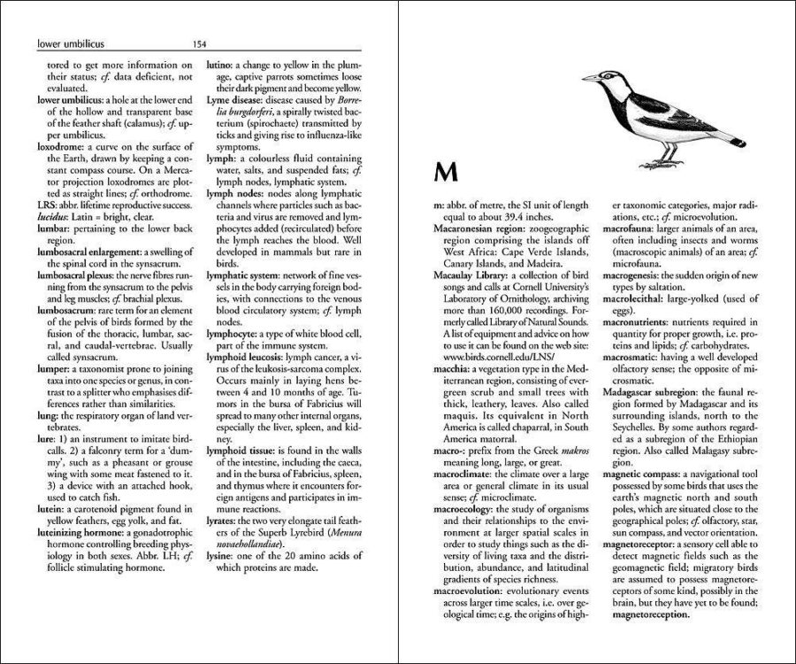 The Ornithologist's Dictionary sample page